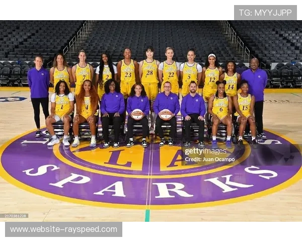 球迷文化观察:WNBA粉丝更倾向通过购买赞助商产品支持球队 球迷文化观察:WNBA粉丝更倾向通过购买赞助商产品支持球队